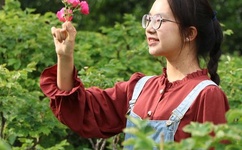 浓毛的国模萍萍私拍150P